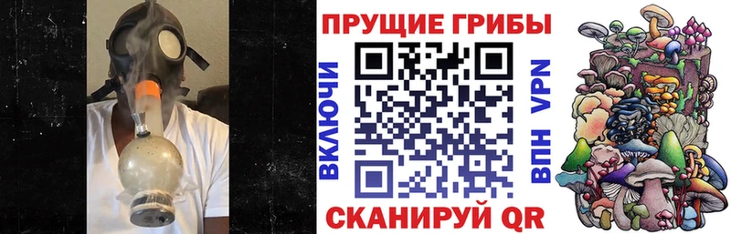 Псилоцибиновые грибы Cubensis  Дно 